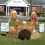 2014 Scarecrow – HeritageBank of the South